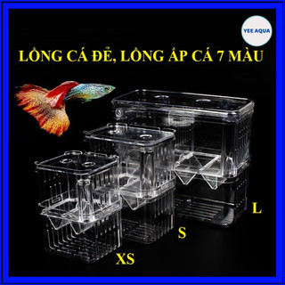 Lồng Đẻ Cho Cá Bằng Mica Trong Suốt, Hộp Ấp Dưỡng Cá Bảy Màu Cá Bệnh Nhiều Kích Thước XS S M L