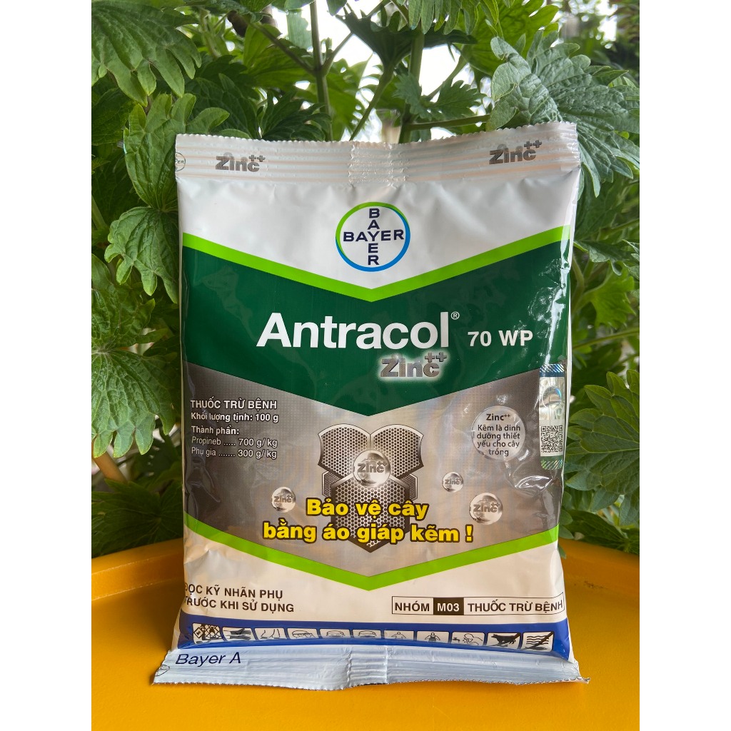 Antrol ZINC+ + 70WP ของแท้ Bayer -100g- ปกป้องพืชด้วยเกราะ ZINC | วีทีเอ็น ครูต้วน