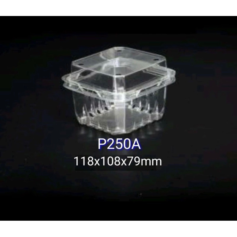 ผลไม้ 250gr 50 กล่อง P250A