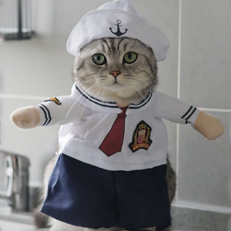 ชุดคอสเพลย์ Sailor Union สําหรับสุนัขและแมว - SP006019ทีที2