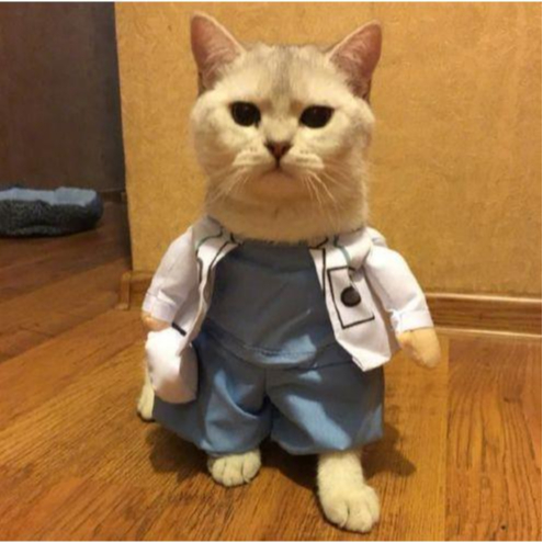 ชุดคอสเพลย์หมอสําหรับสุนัขและแมว - SP006019Bs2