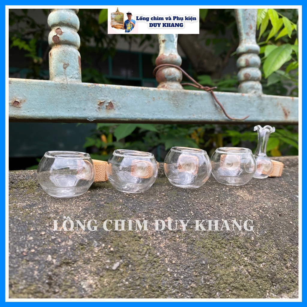 ตู้แช่แข็งแก้วสําหรับเจาะนก / ดูดน้ําผึ้ง ชุดตู้แช่แข็งแก้วกลม 5 ชิ้น - Duy Kang Birdcage อุปกรณ์เสริม