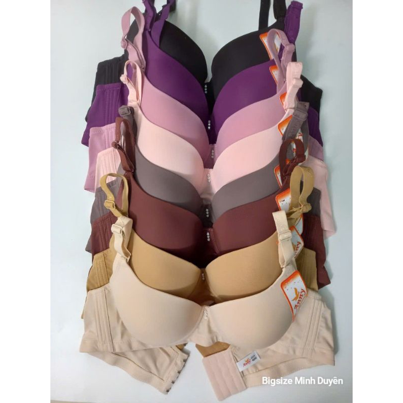 Anny 8802 Thai Big Size Underwire Womens Bra | ถ้วย C/D | ซัพพอร์ตดี ฟอร์มสวย ไซส์ใหญ่ 34–46