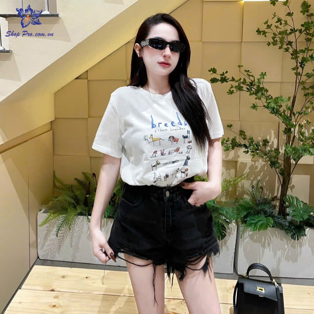 เสื้อยืดลาย Liquidation of New จาก QC Shop Pro PZ80