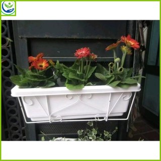 Combo giá treo+chậu nhựa hình chữ nhật trồng hoa,rau,cây cảnh bền đẹp