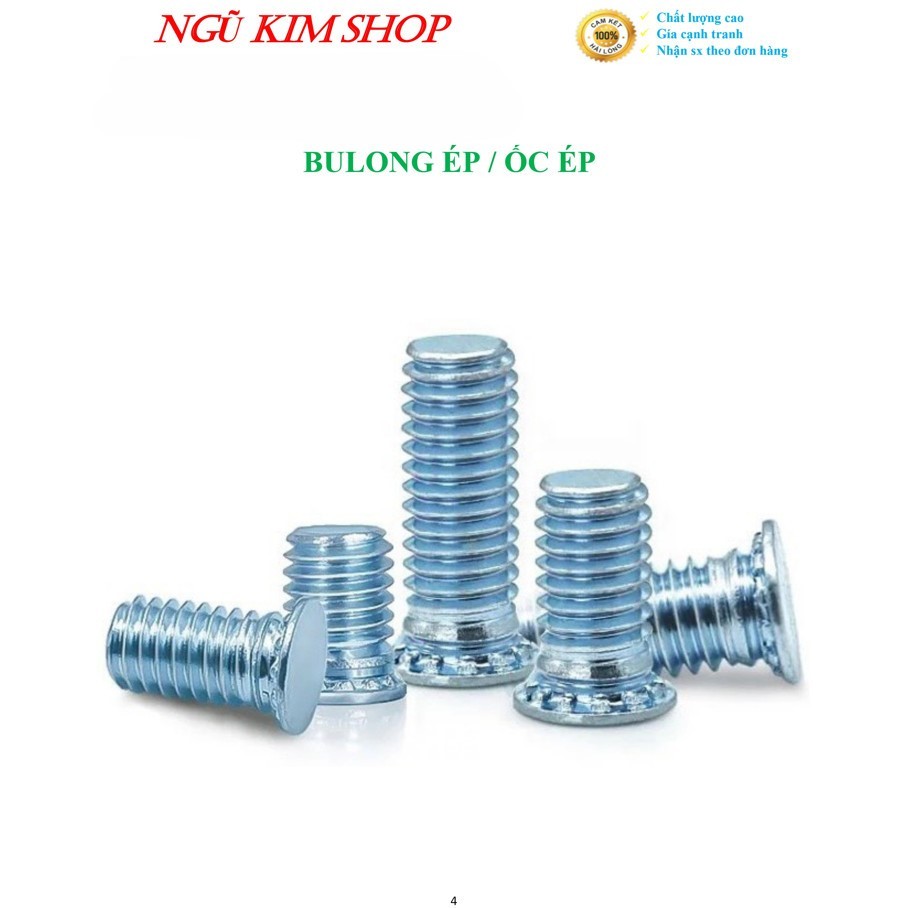 กด BULONG _ PRESSURE SCREWS M3, M4, M5, M6, M8