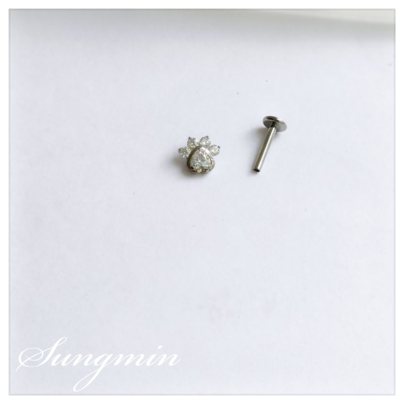 ต่างหูตีนสุนัข Titanium Titanium Titanium G23 พร้อมหินเพทายคุณภาพสูง