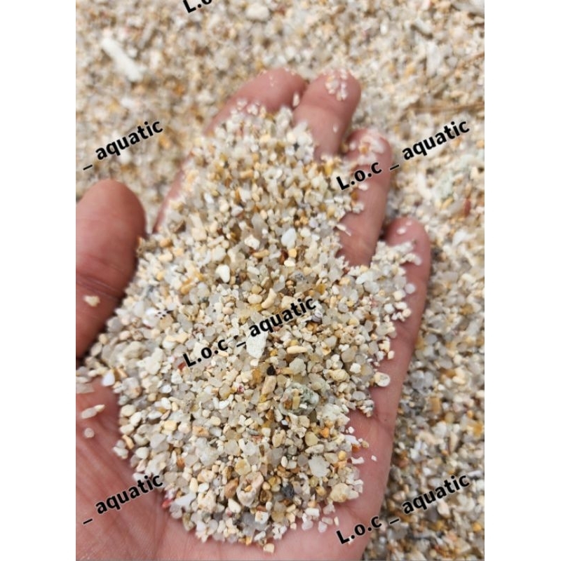 QUARTZ SAND_ SCALE SHELLS เครื่องกรองน้ํา ย่อยน้ํา