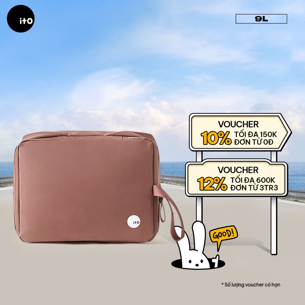 ITO Matte Mushroom Organizer Travel Shoe Bag 9L