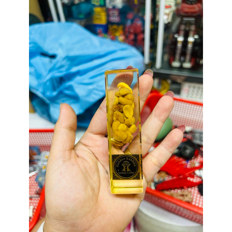 โมเดลโชว์กาแฟ Luwak กระต่ายสีทอง