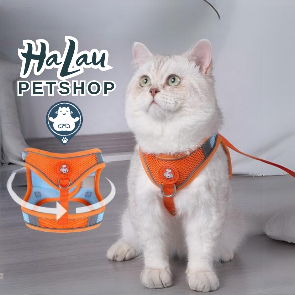 ผ้ากันเปื้อนสําหรับสุนัขและแมว ผ้ากันเปื้อนตาข่ายโปร่ง สามารถเปลี่ยนขนาดหัวเข็มขัดสะดวก สายจูง 1.5M 