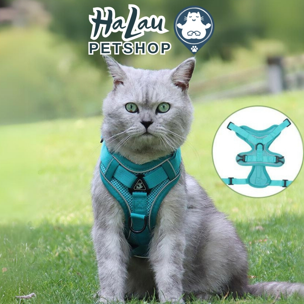 ผ้ากันเปื้อนสําหรับสุนัขและแมว ผ้ากันเปื้อนสะท้อนแสงที่สามารถเปลี่ยนขนาดหัวเข็มขัดสะดวกสายจูง 1.5M H