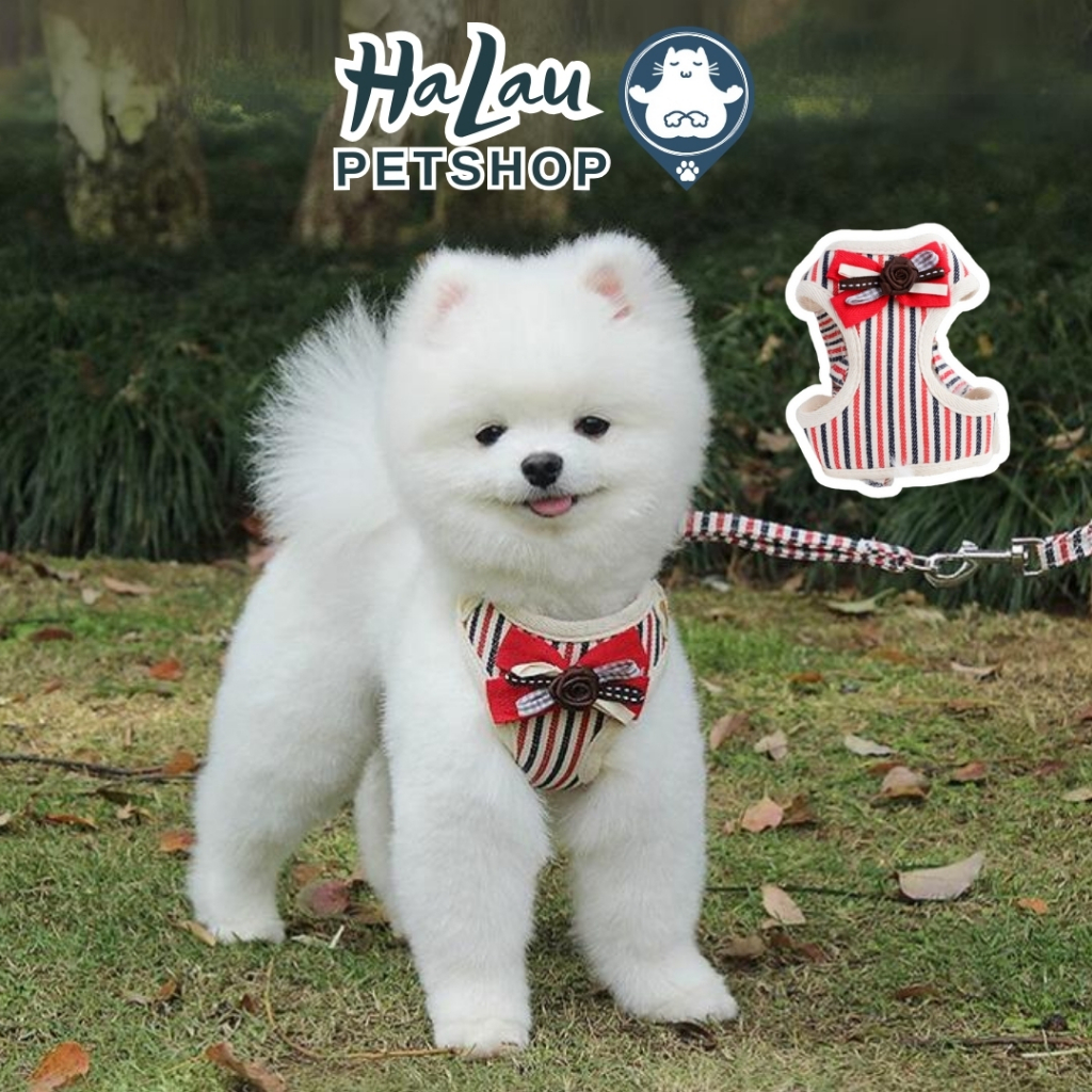 ผ้ากันเปื้อนสําหรับสุนัขและแมว ผ้ากันเปื้อนโบว์ลายทางสามารถเปลี่ยนขนาดหัวเข็มขัดสะดวกสายจูง 1.5M HAL