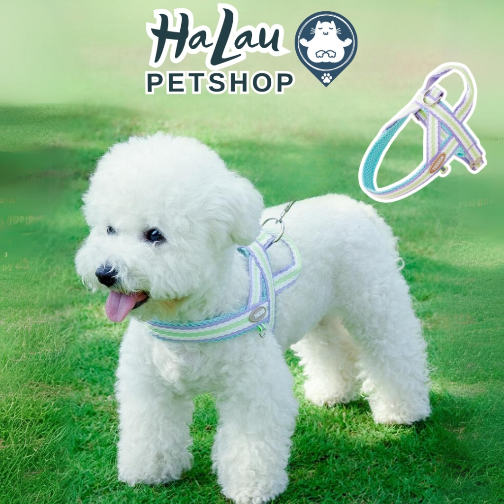 ผ้ากันเปื้อนสําหรับสุนัขและแมว ผ้ากันเปื้อน H-Dog สามารถเปลี่ยนขนาดหัวเข็มขัดสะดวก สายจูง 1.5M HALAU