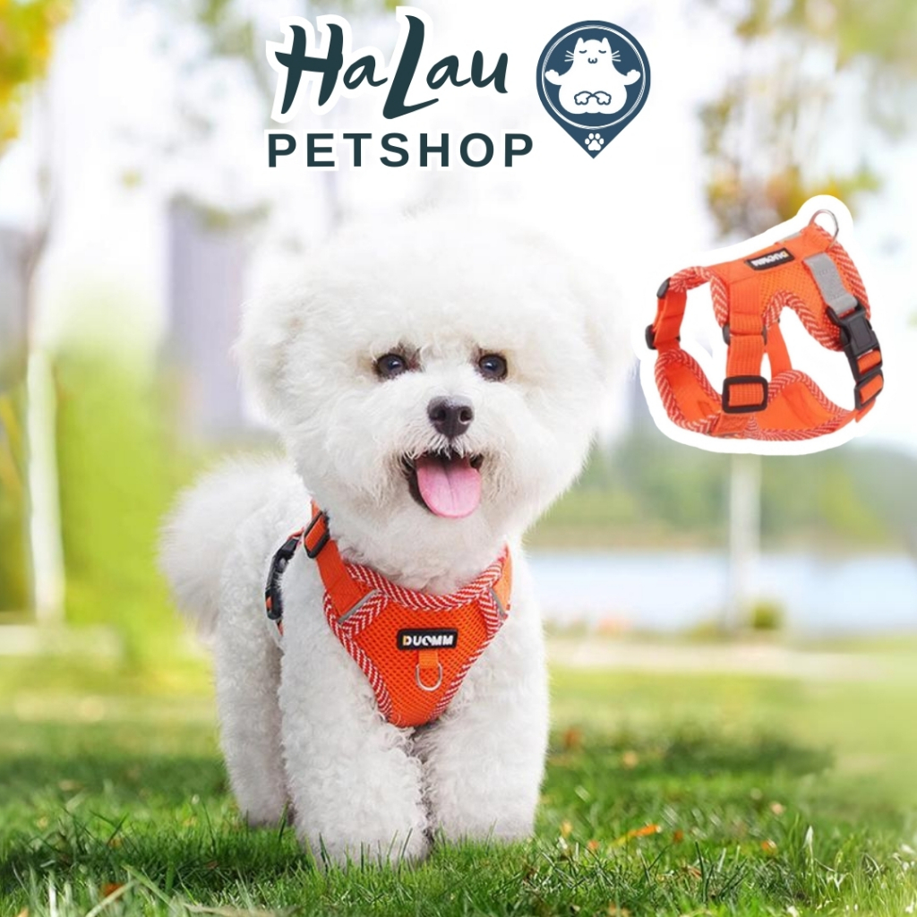 ผ้ากันเปื้อนสําหรับสุนัขและแมว ผ้ากันเปื้อนตาข่ายโปร่ง สามารถเปลี่ยนขนาดหัวเข็มขัดสะดวก สายจูง 1.5M 