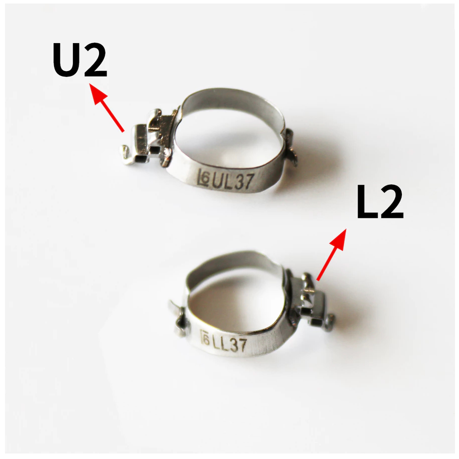 ทันตกรรม วงดนตรี 1 หลอด 2 หลอด 3 หลอดฟัน 6 , 7 - สล็อตก้านเย็บจัดฟัน 022