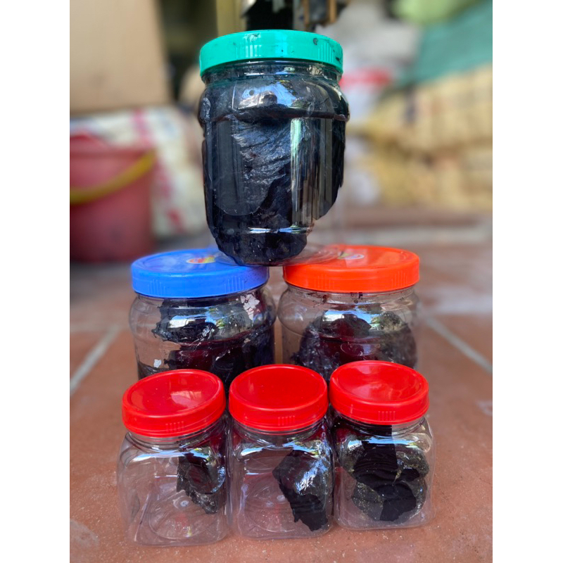 BIRD ADHESIVE BOX 100gr, 500gr.