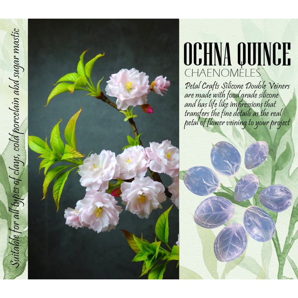 OCHNA QUINCE Hoa mai quince Khuôn vân silicone vân hai mặt double flower veiner mold hoa đất hoa đườ