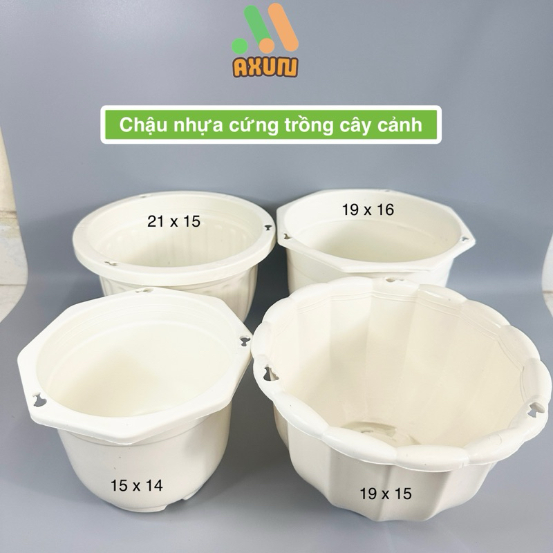 กระถางพลาสติกแข็งทรงกลมสีขาวขนาดใหญ่ 15x14 ซม. และ 21x15 ซม. สําหรับปลูก ไม้อวบน้ํา สตรอเบอรี่ และพืชบอนไซ