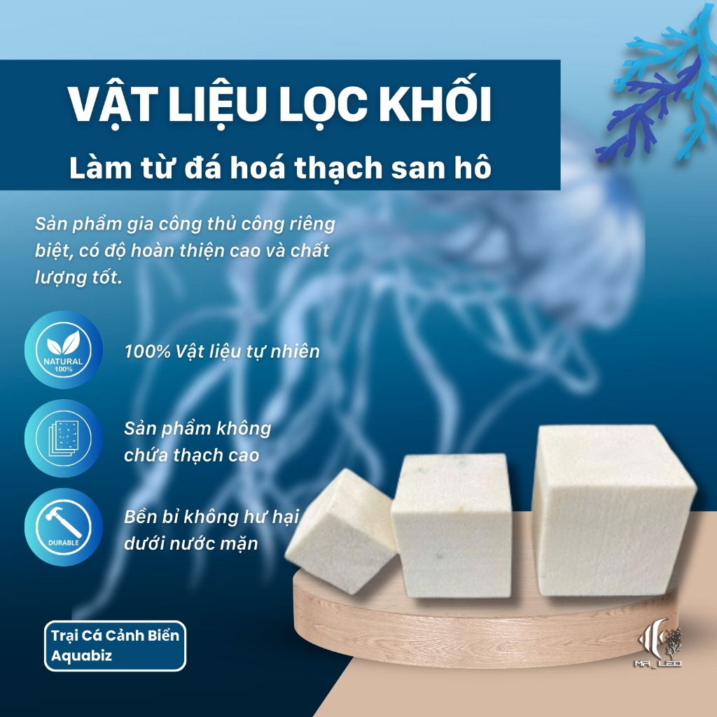 [ขนาดใหญ่] MR.LEO วัสดุกรองตู้ปลาทะเลปะการัง 10x5x5 / 10x10x5 / 10x5 / 10x10x5 / 10x10x10cm