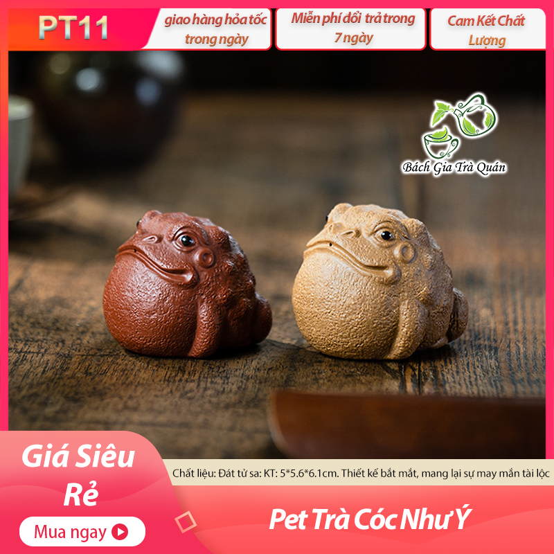 Pet Nhu Y Toad Tea - ขนาด: 5*5.6*6.1cm