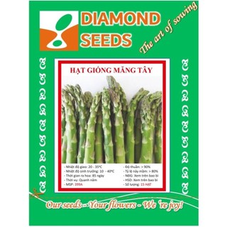 Gói 10 Hạt Giống Măng Tây Hạt Mới Nảy Mầm Trên 90% Dễ Trông Dễ Chăm Thu Quanh Năm - HÀNG CÔNG TY