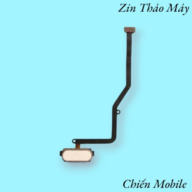 สายลายนิ้วมือ SS Galaxy C9 Pro (SM C900F DS) - ส่วนประกอบสังกะสีปอกเปลือก [120]