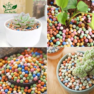 Đất Nung Ceramsite Trang Trí Lót Chậu Trồng Cây (Túi 300 Gram)