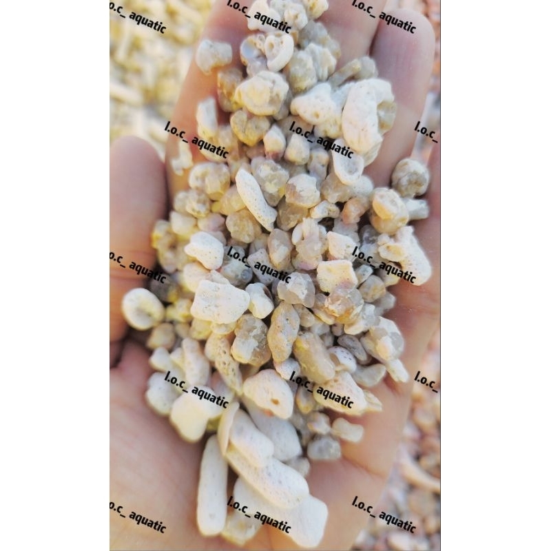 1kg_ QUARTZ_CORAL (ขนาดกลาง), CORAL QUARTZ SAND_ AQUARIUM SURFACE_SEA FISH TANK BACKGROUND_ LANDSCAP