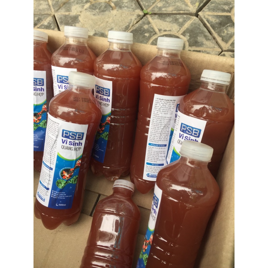 PSB โปรไบโอติกตู้ปลา โปรไบโอติกธรรมชาติที่กระจอกน้ํา ย่อยสลายสารตกค้าง และอุจจาระปลา