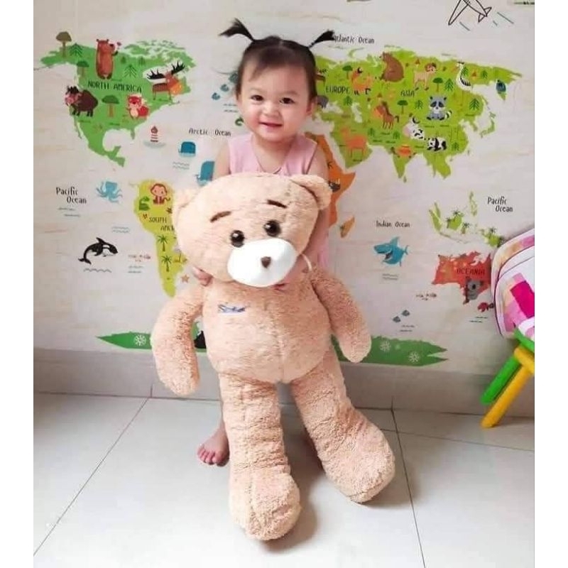 SIMILAC TEDDY BEAR 70 CM