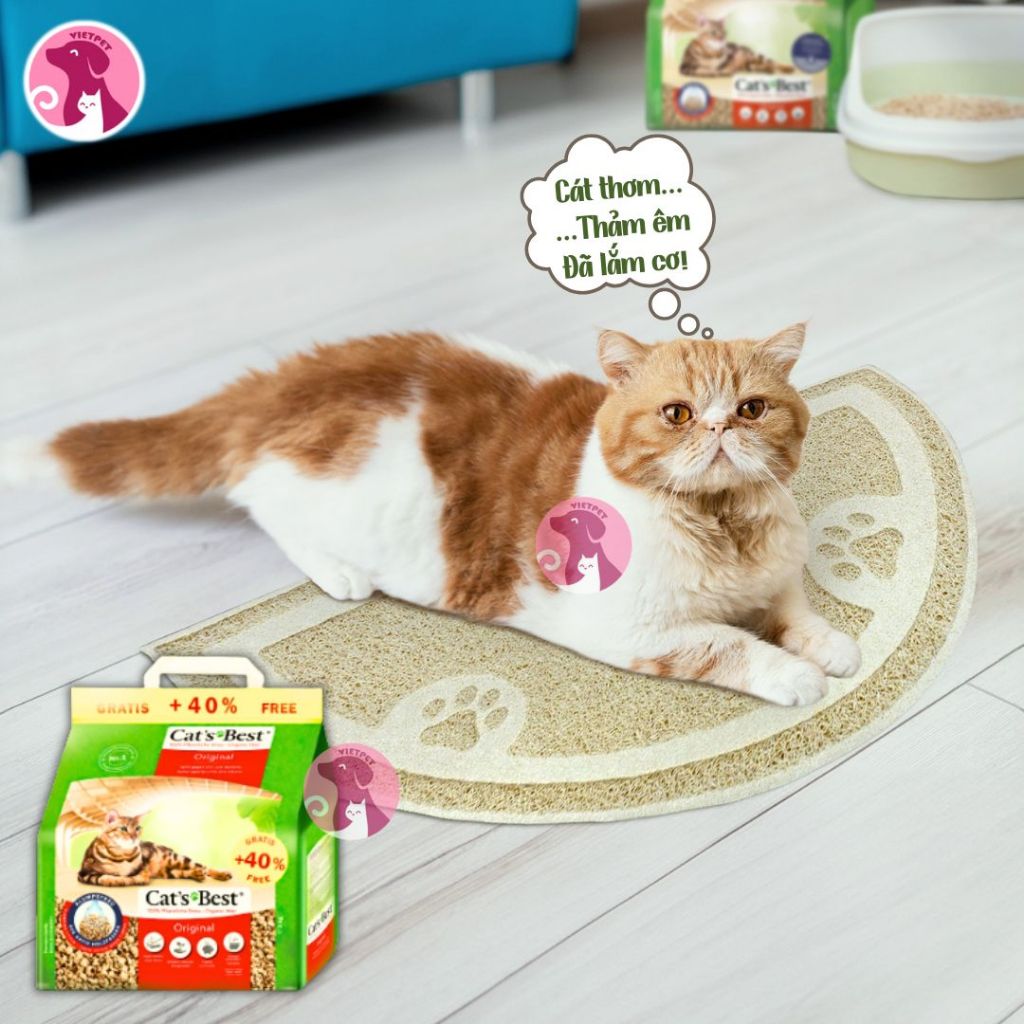 แมวไม้ออร์แกนิค Combo & CATS BEST แผ่นรองทรายแมว (นําเข้าจากเยอรมัน) (เสื่อทําจากยาง)
