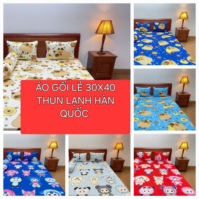 PILLOW SHIRT + รุ่นสี PILLOW สําหรับเด็กในความร้อนเกาหลี ขนาด 30X40