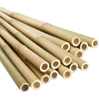 COMBO 30, 50, 60 Que Tre Dựng Giàn Cây Leo Chống Đổ Ngã Cho Bầu, Bí, Mướp, Dưa Leo đường kính gốc 2-3cm, ngọn 1-2cm