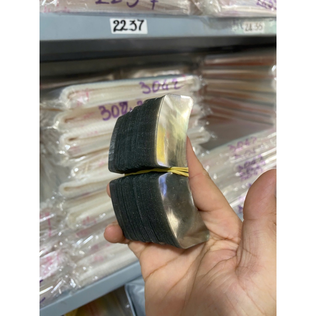 เสื้อคอปกผีเสื้อ พลาสติกปกผีเสื้อ (odd)