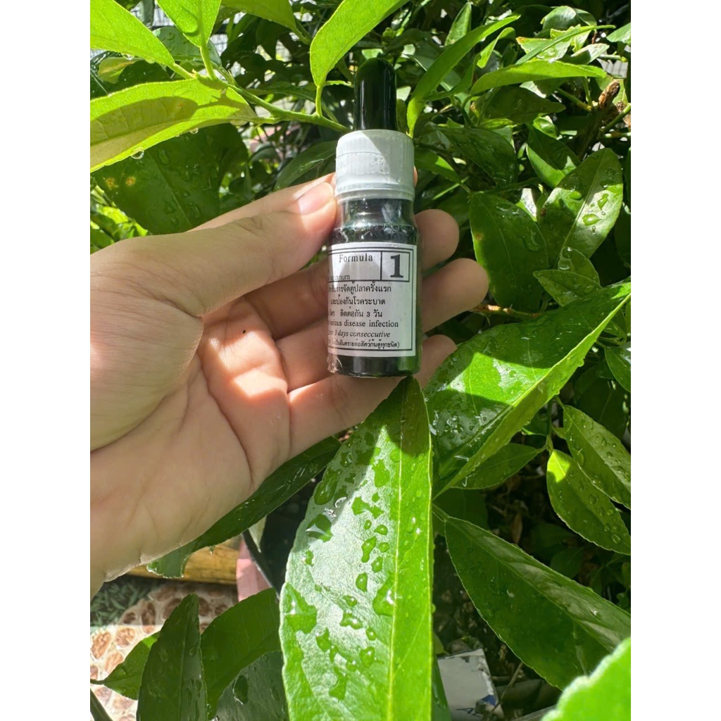 Bio KNOCK Solution เพื่อป้องกันและฆ่า Fungi สําหรับปลาพิพิธภัณฑ์สัตว์น้ํา [BIOKNOCK]
