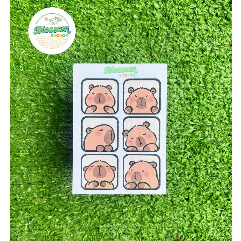 [STICKER] - Capybara SS03 mini size STICKER | ฤดูกาลดอก