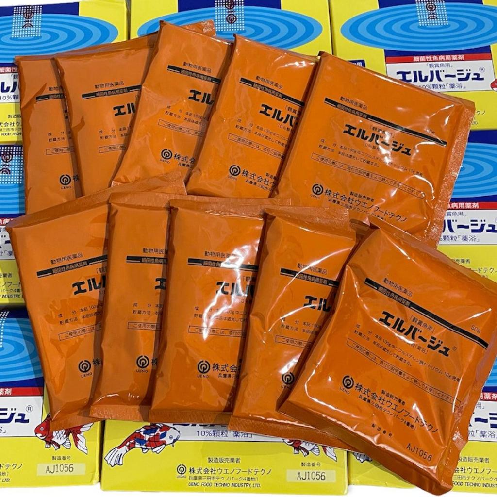Elbagin - JPDs Japanese Tetra - Birthday Resistance (50G Pack)