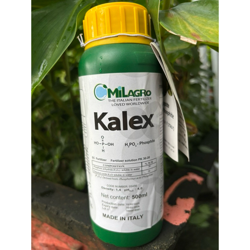 Kalex 500ml Made in Italy: ป้องกันก้านแตก ทุเรียนหนอง ตูมโต สร้างถั่วงอก กระตุ้นดอกไม้ ใบเขียวหนา แล