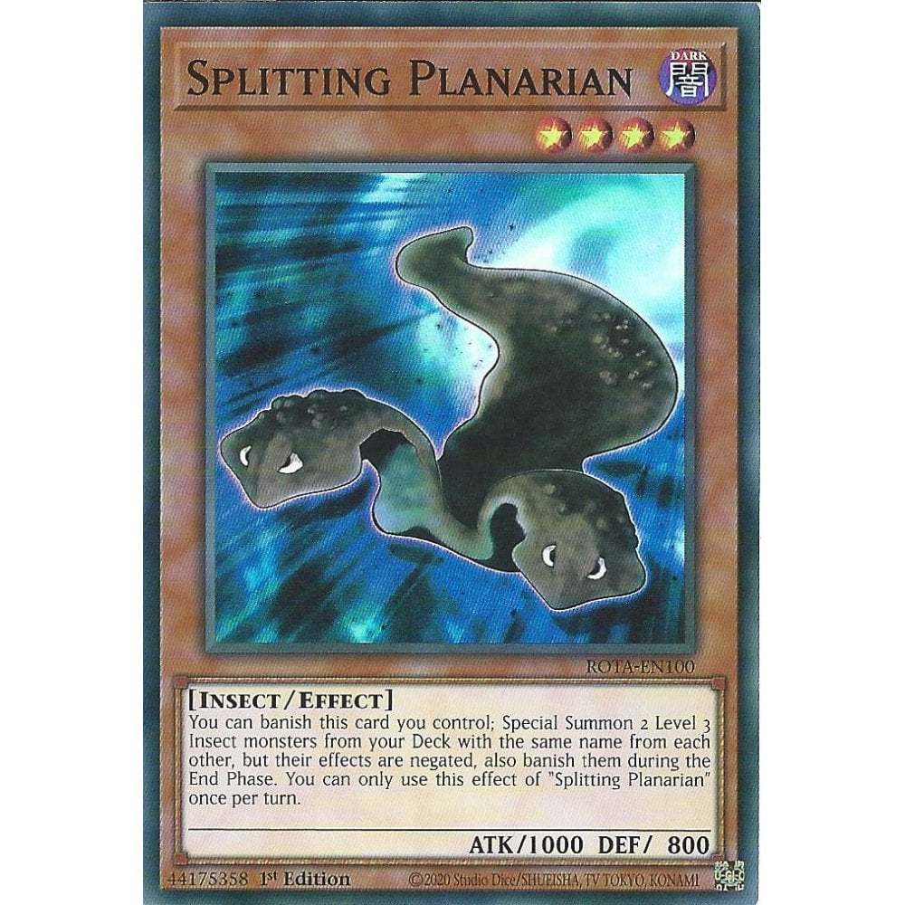 [KW2 Yugioh] [EN-UK] การ์ด Splitting Planarian - ROTA-EN100 - รุ่นที่ 1 หายากมาก