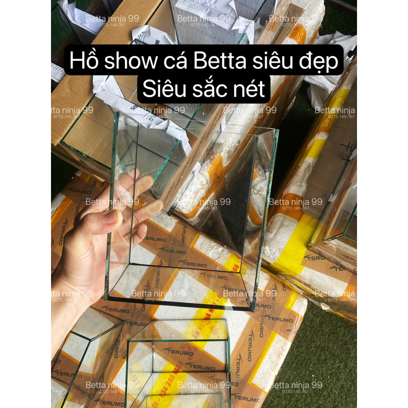 Betta Fish Show Tank & Guppy (กาวซีล) - ตู้ปลาขนาดเล็ก