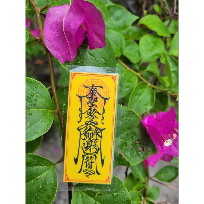 APARTMENT ANN*******