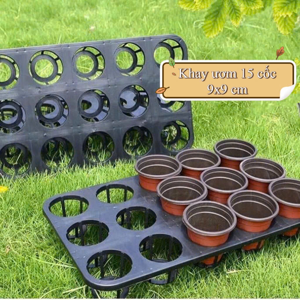 สะดวกดี ถาดเพาะชํา 15 หลุม พร้อมถ้วยเพาะชํา 9x9 15 ใบ - ใช้ซ้ําได้หลายครั้ง