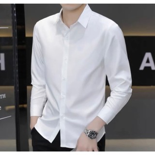 Áo sơ mi phom body mẫu cơ bản