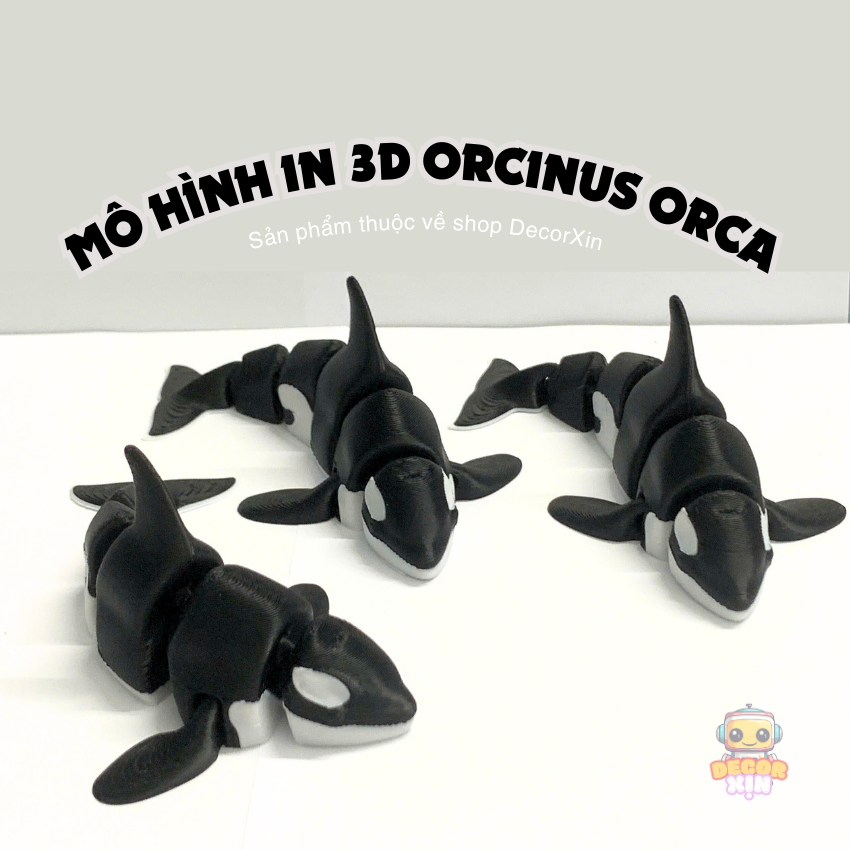 โมเดลของเล่นวาฬ Orcinus orca assin พิมพ์ 3 มิติ สีสันสวยงาม ใช้สําหรับตกแต่งและตกแต่ง