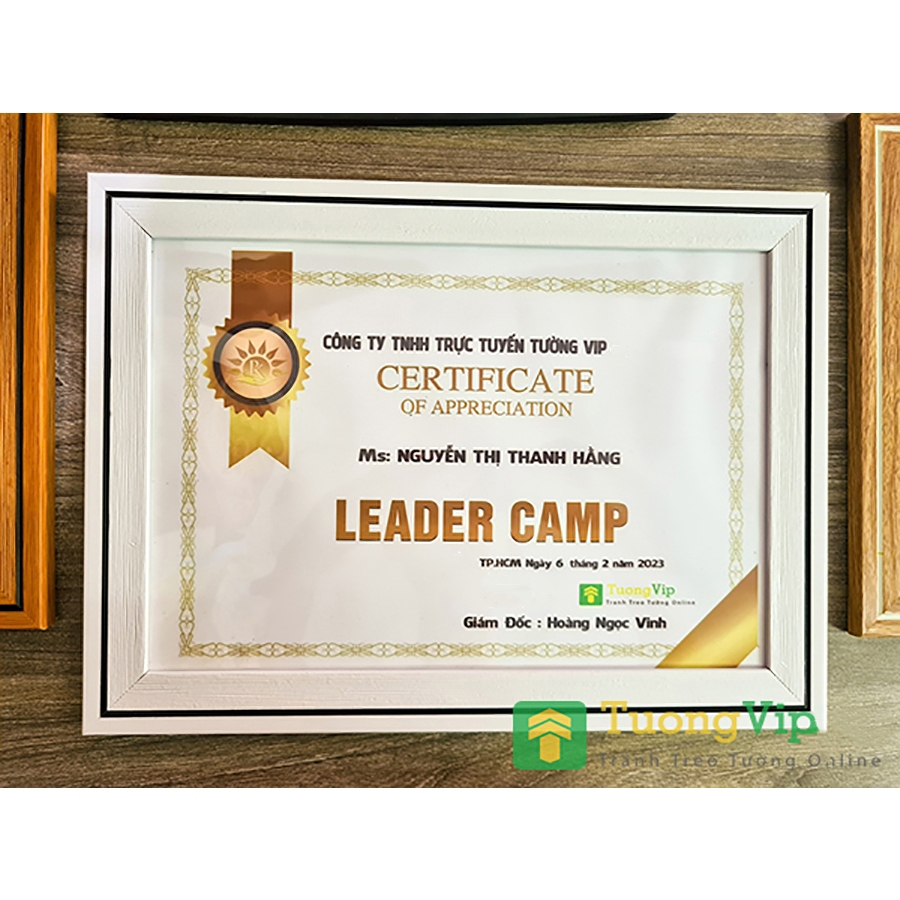 กรอบรูป - กรอบใบรับรอง 21X30cm(A4) /25x35cm(B4)/ 30x42cm(A3) ชายแดนกรอบคอมโพสิตสมัยใหม่, พื้นผิวไมก้