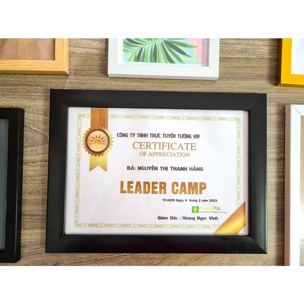 กรอบรูป - กรอบใบรับรอง - กรอบขอบหนา, ผนังผิวไมก้าสําหรับโต๊ะ 21x30cm(A4)/ 25x35cm(B4)/30x42cm(A3) VI