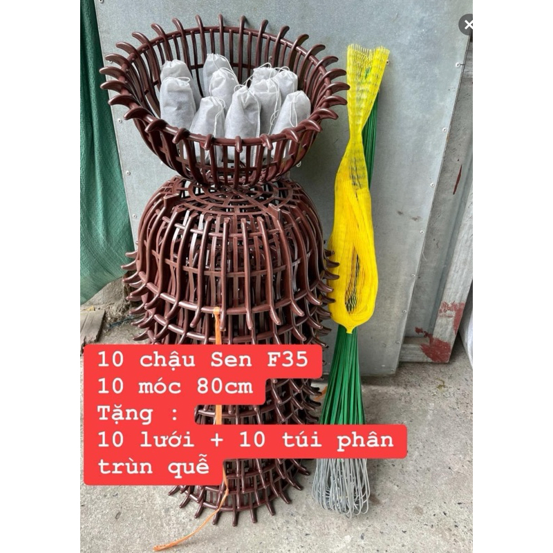 คอมโบเมล็ดบัวเสริม 10 ใบ ฉ20-25-30 รับตะขอเคลือบพลาสติก 10 ใบ ถุงตาข่ายซับใน 10 ใบ ปุ๋ยคอกแพะก่อนบรรจุ 10 ถุง