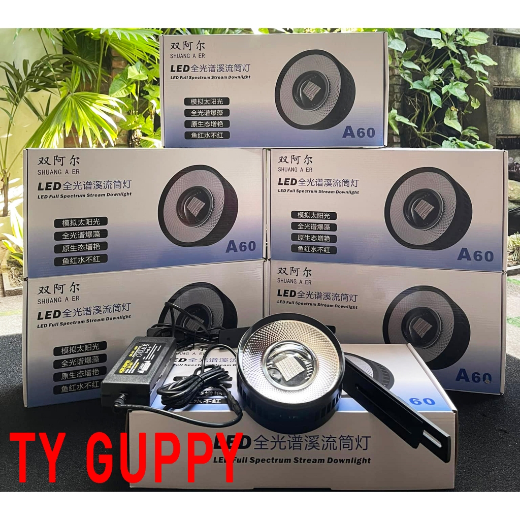 A60 รุ่นอัพเกรด ZAQUA RGB + UV (เอาต์พุตวิดีโอต่อเนื่อง 60 & 80W รุ่นปลาแดง ไม่ใช่น้ําสีแดง)