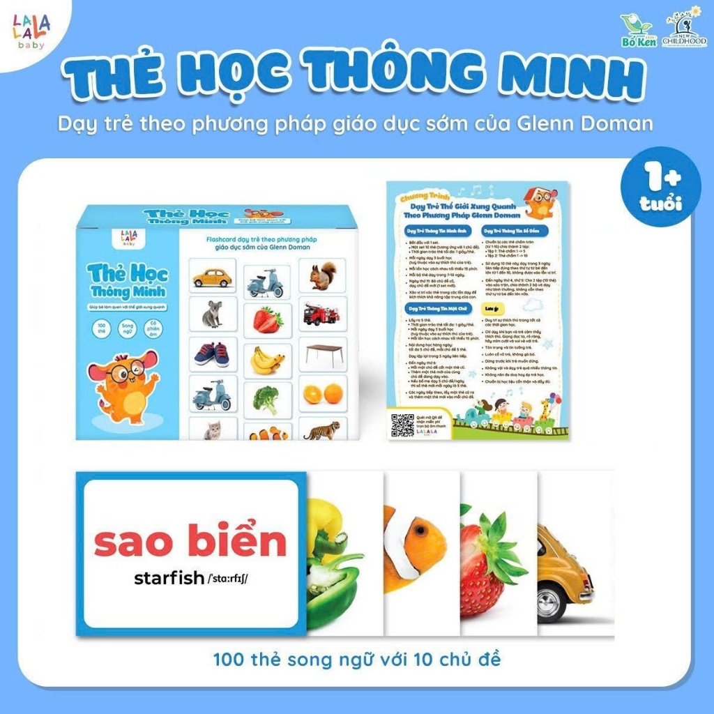 Kens Dad Shop Glenn Doman Learning Card Set - LALALA BABY Brand สองภาษา อังกฤษและเวียดนาม - The Worl